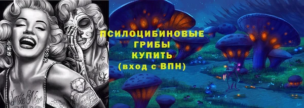 эйфоретик Куйбышев