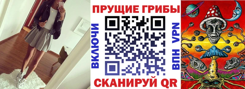 Галлюциногенные грибы мицелий  Купить где  Гаджиево 